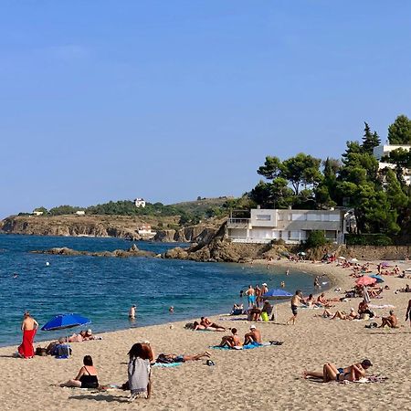Studio moderne Argeles sur mer.La plage à pieds, Espagne à 30mn Esterno foto