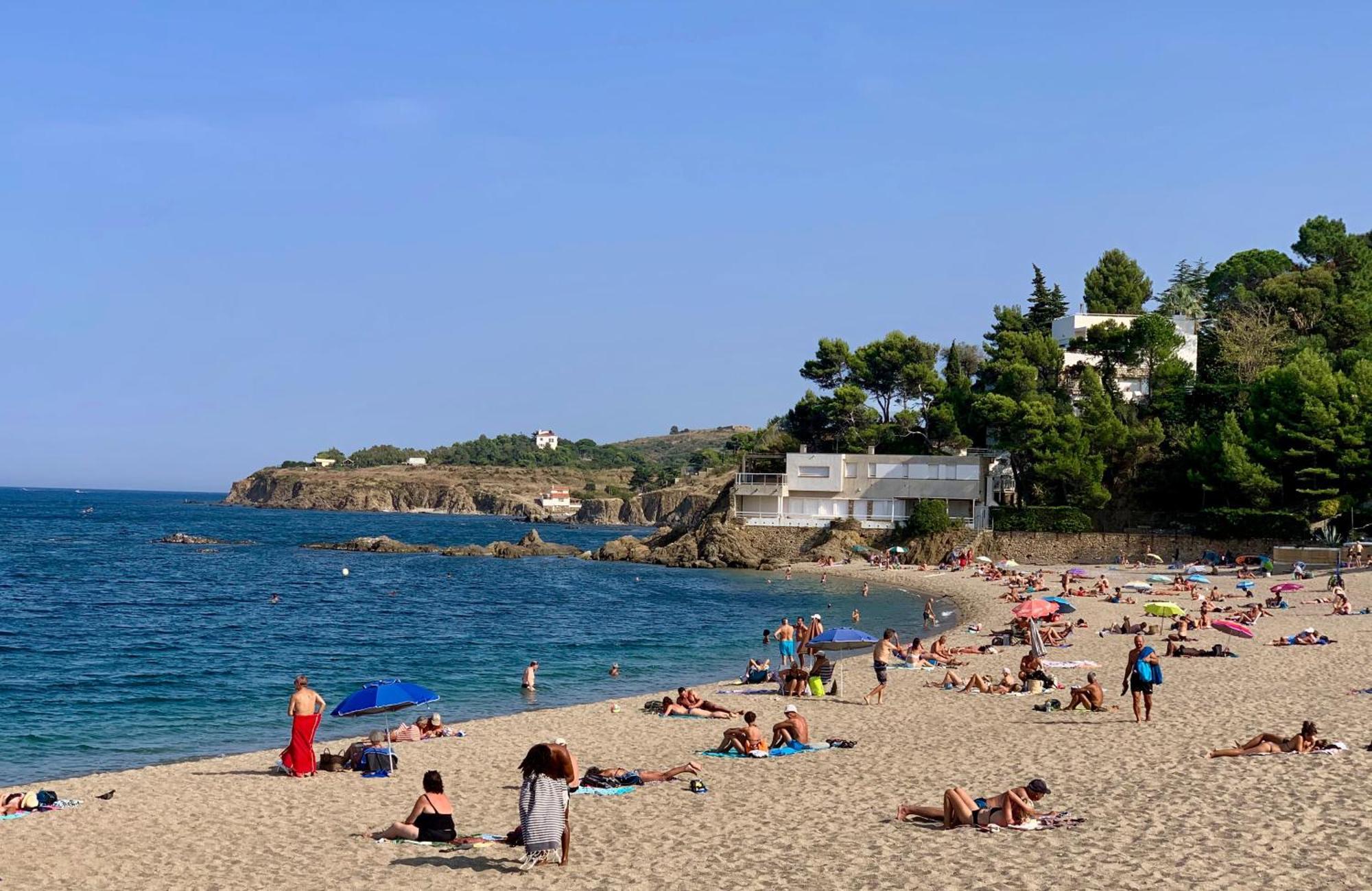 Studio moderne Argeles sur mer.La plage à pieds, Espagne à 30mn Esterno foto